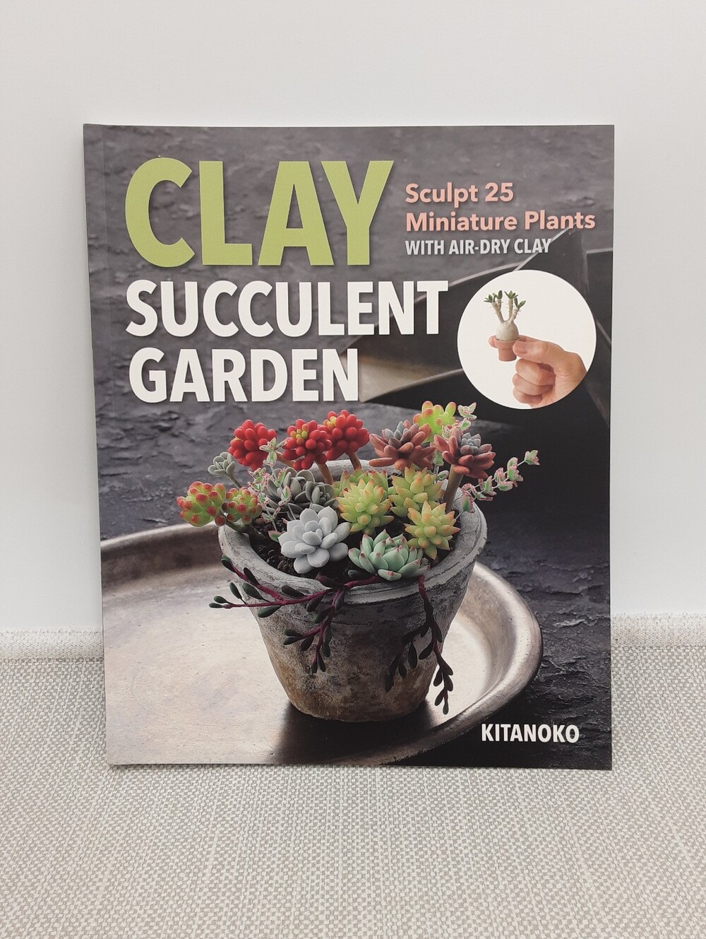 Kitanoko Clay Succulent Garden Sculpt Miniature Plants